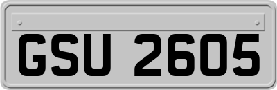 GSU2605
