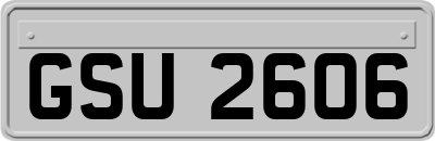 GSU2606