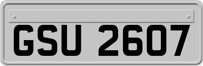 GSU2607