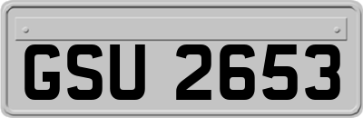 GSU2653