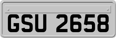 GSU2658
