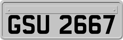 GSU2667