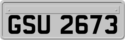 GSU2673