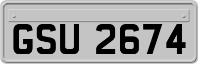GSU2674