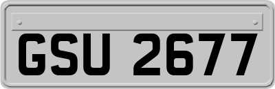 GSU2677