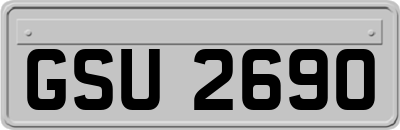 GSU2690
