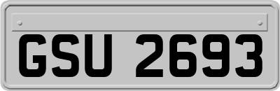 GSU2693