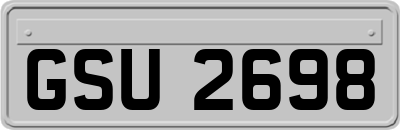 GSU2698