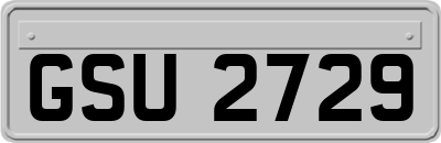 GSU2729