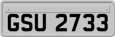 GSU2733