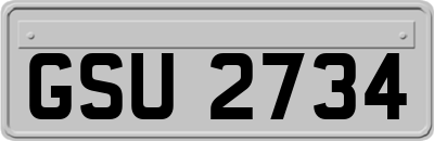 GSU2734