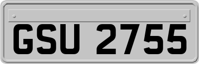 GSU2755
