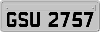 GSU2757