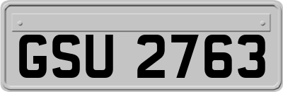 GSU2763