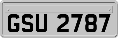 GSU2787