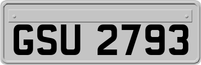 GSU2793