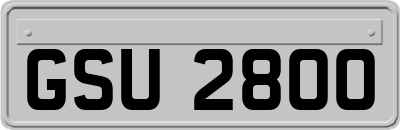 GSU2800