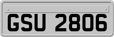 GSU2806