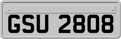GSU2808