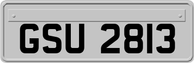 GSU2813
