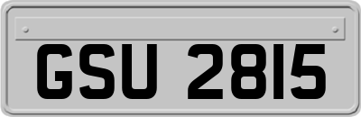 GSU2815