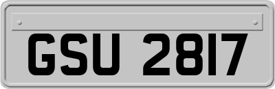 GSU2817