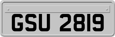 GSU2819
