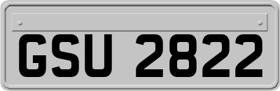 GSU2822