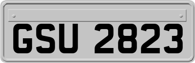 GSU2823