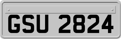 GSU2824