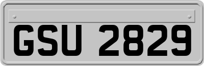 GSU2829