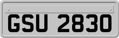 GSU2830