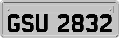 GSU2832