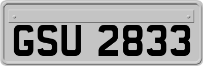 GSU2833