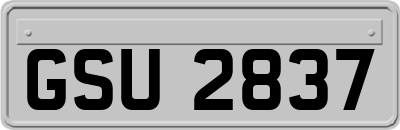 GSU2837