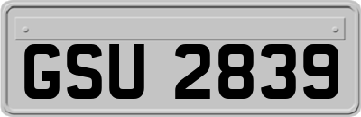 GSU2839