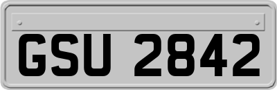 GSU2842