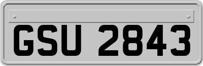 GSU2843