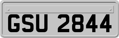 GSU2844