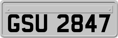 GSU2847