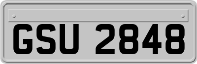 GSU2848