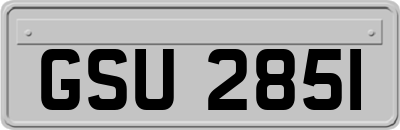 GSU2851