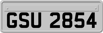 GSU2854