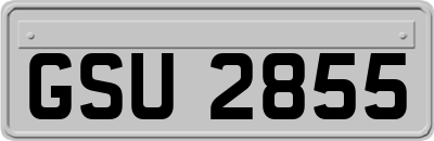 GSU2855