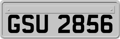GSU2856