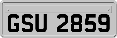 GSU2859