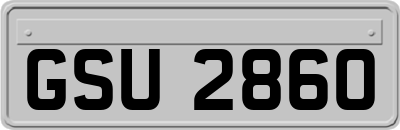 GSU2860