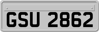 GSU2862