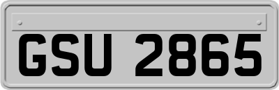 GSU2865