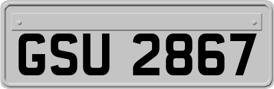 GSU2867